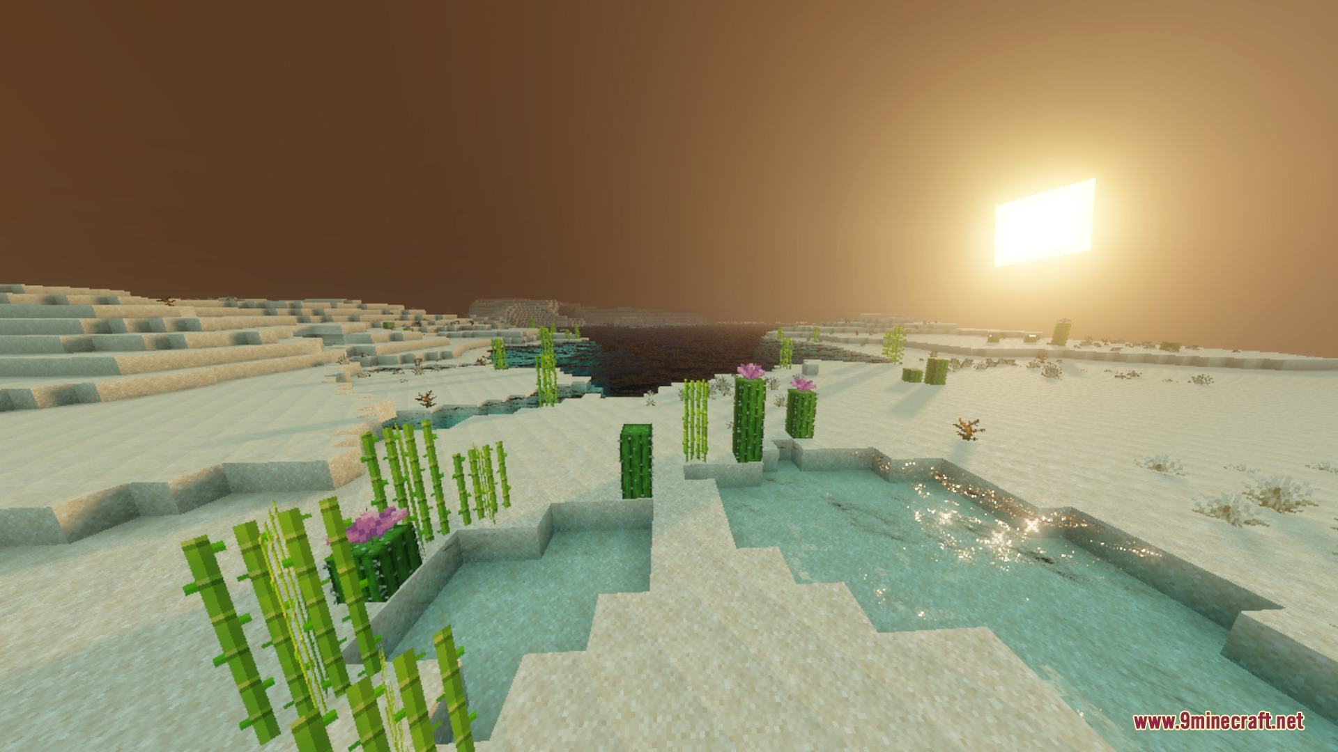 White sand desert with sugar cane and reflective water under a bright sunset