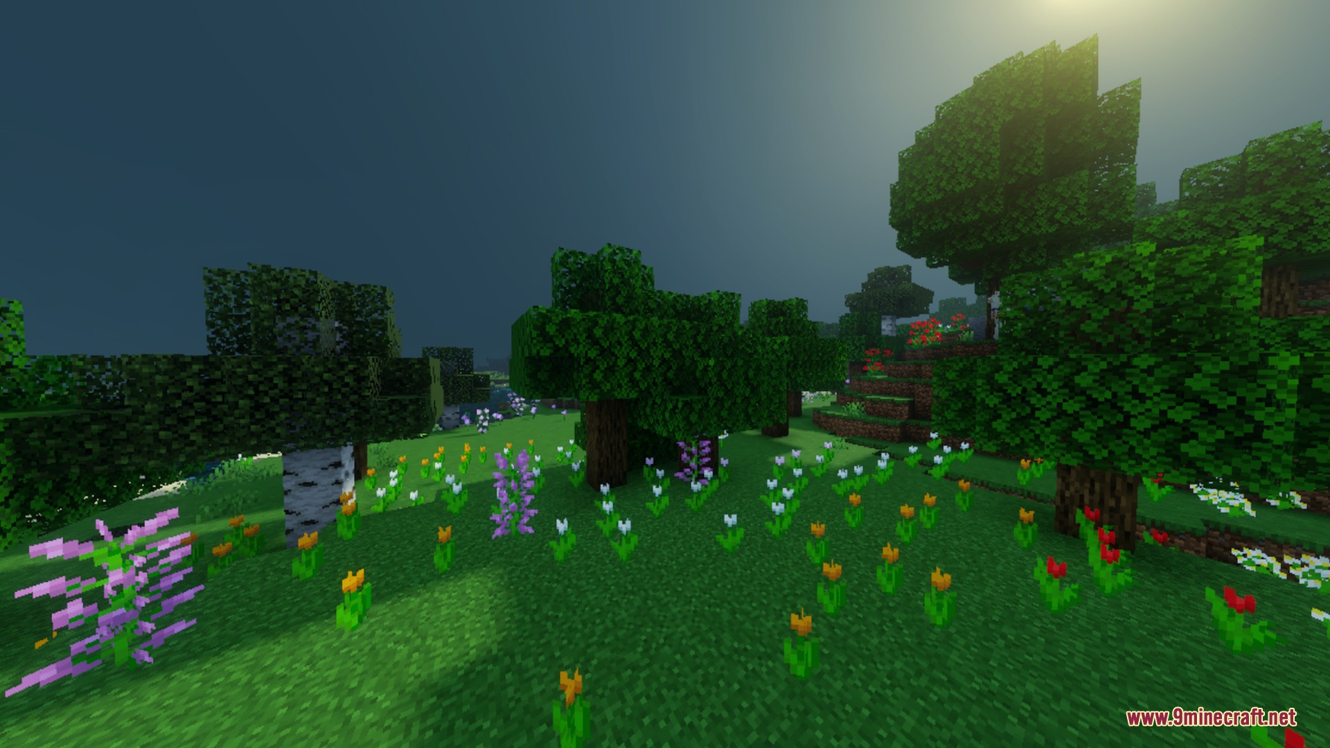 A vibrant flower forest with birch trees under bright realistic sunlight