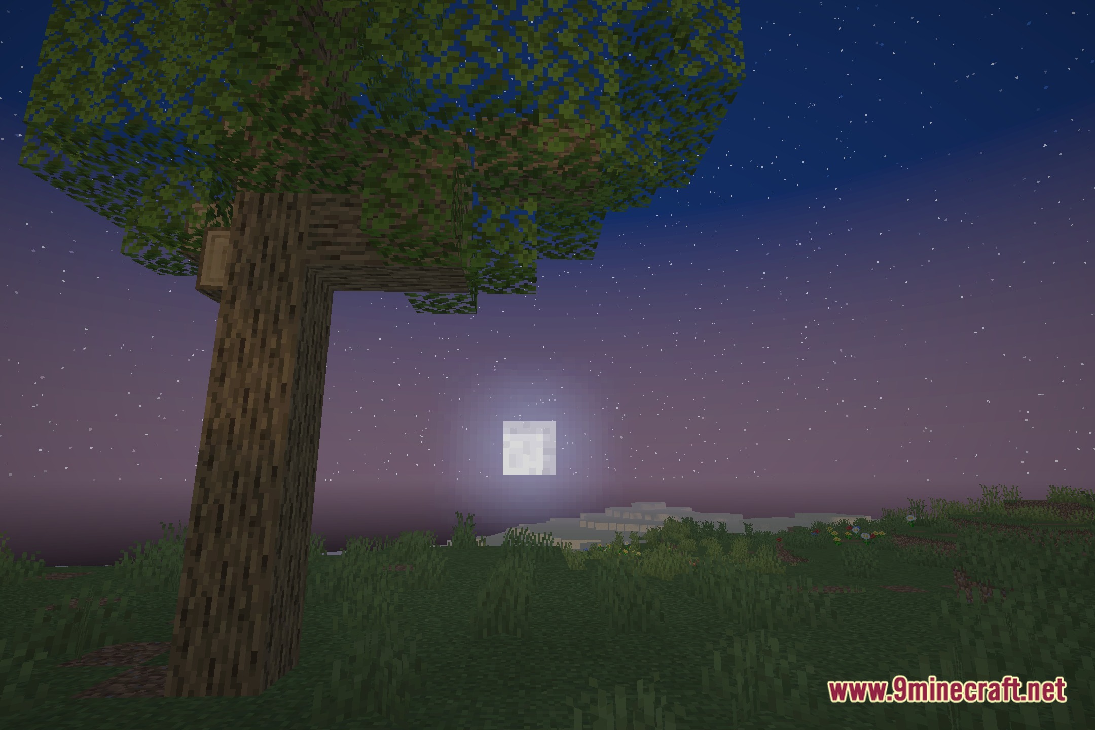 NovaShade Shaders Screenshot 4