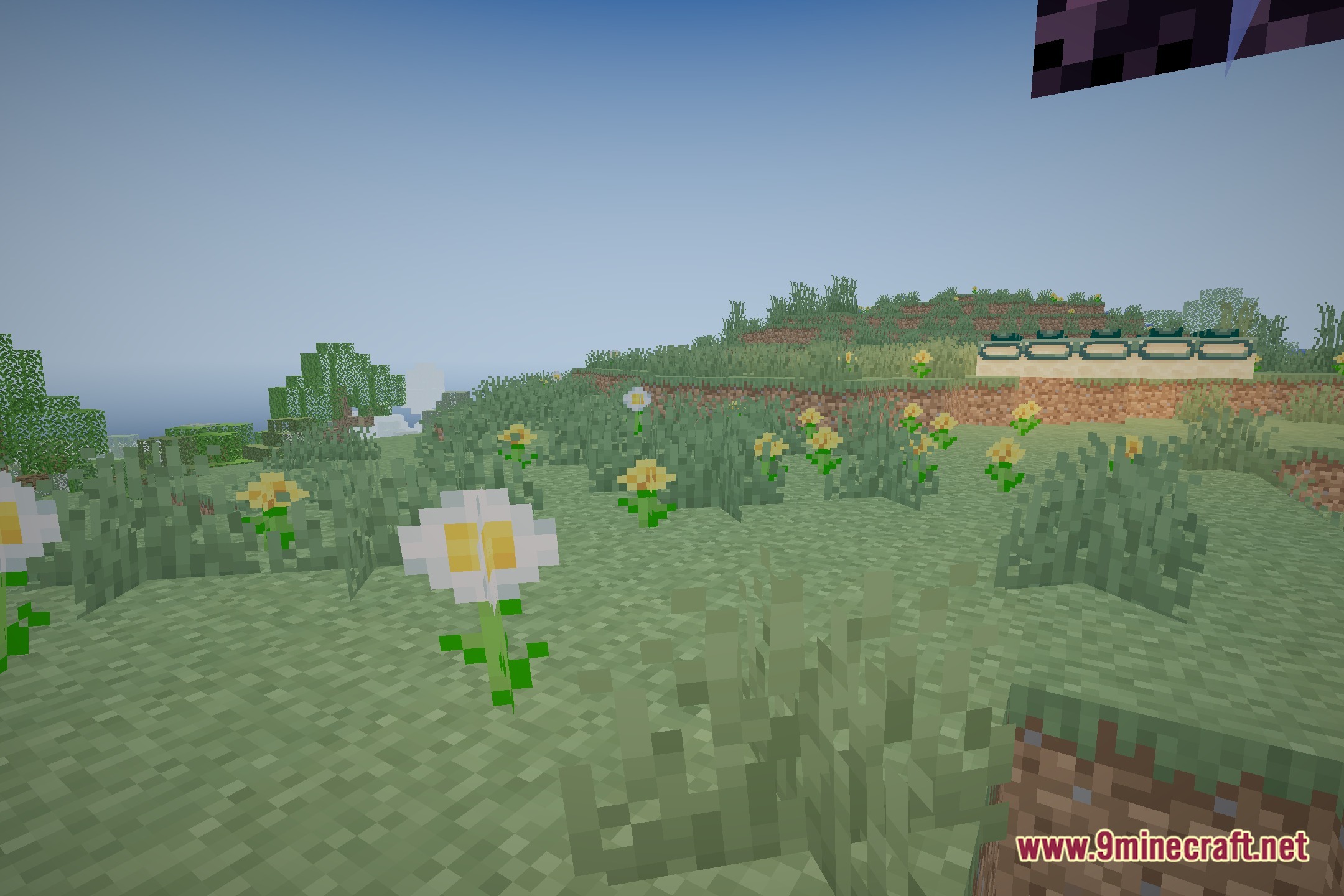 NovaShade Shaders Screenshot 5