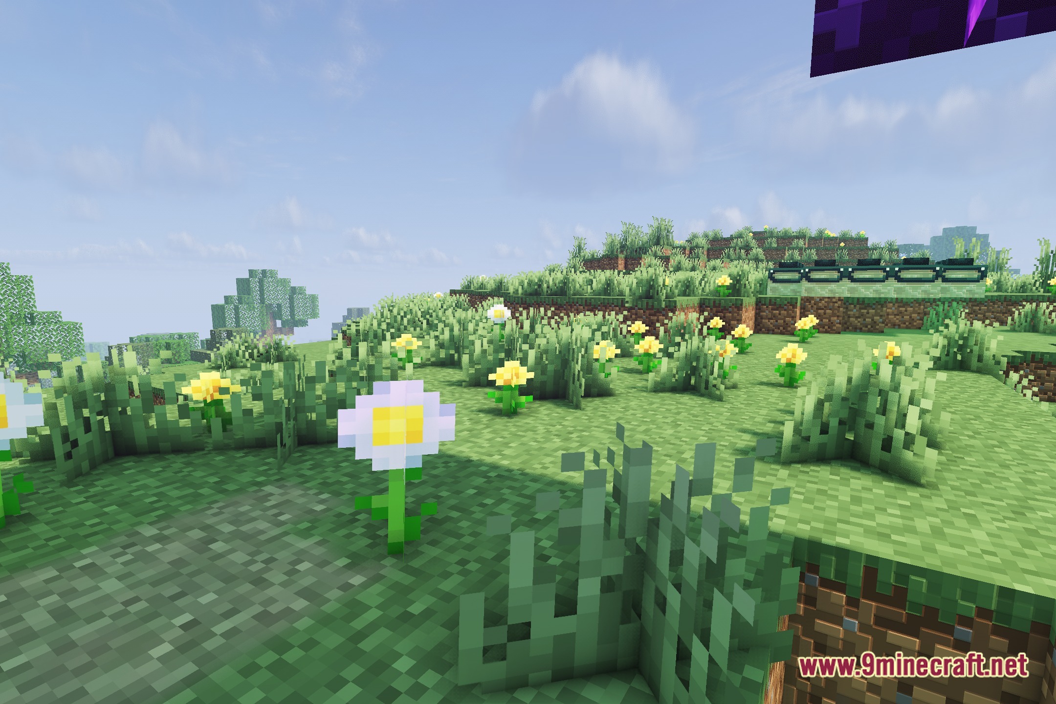 Noxara Shaders Screenshot 5