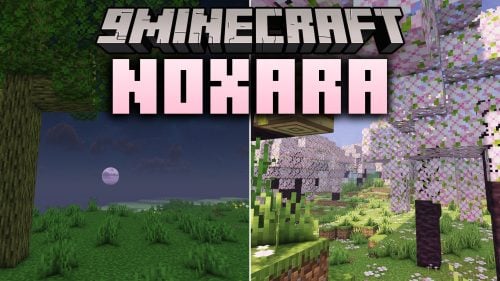 Noxara Shaders