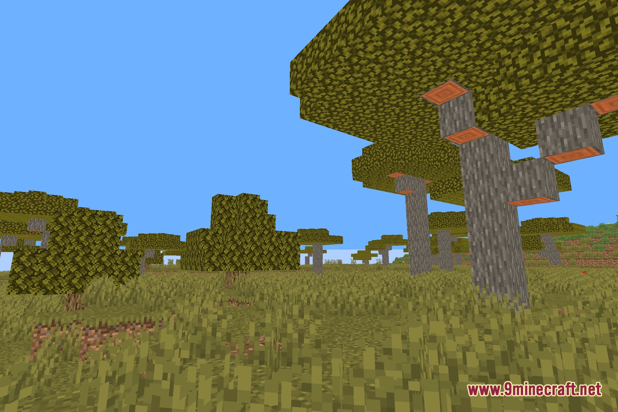 Numpy's Tornado Shaders Screenshot 11
