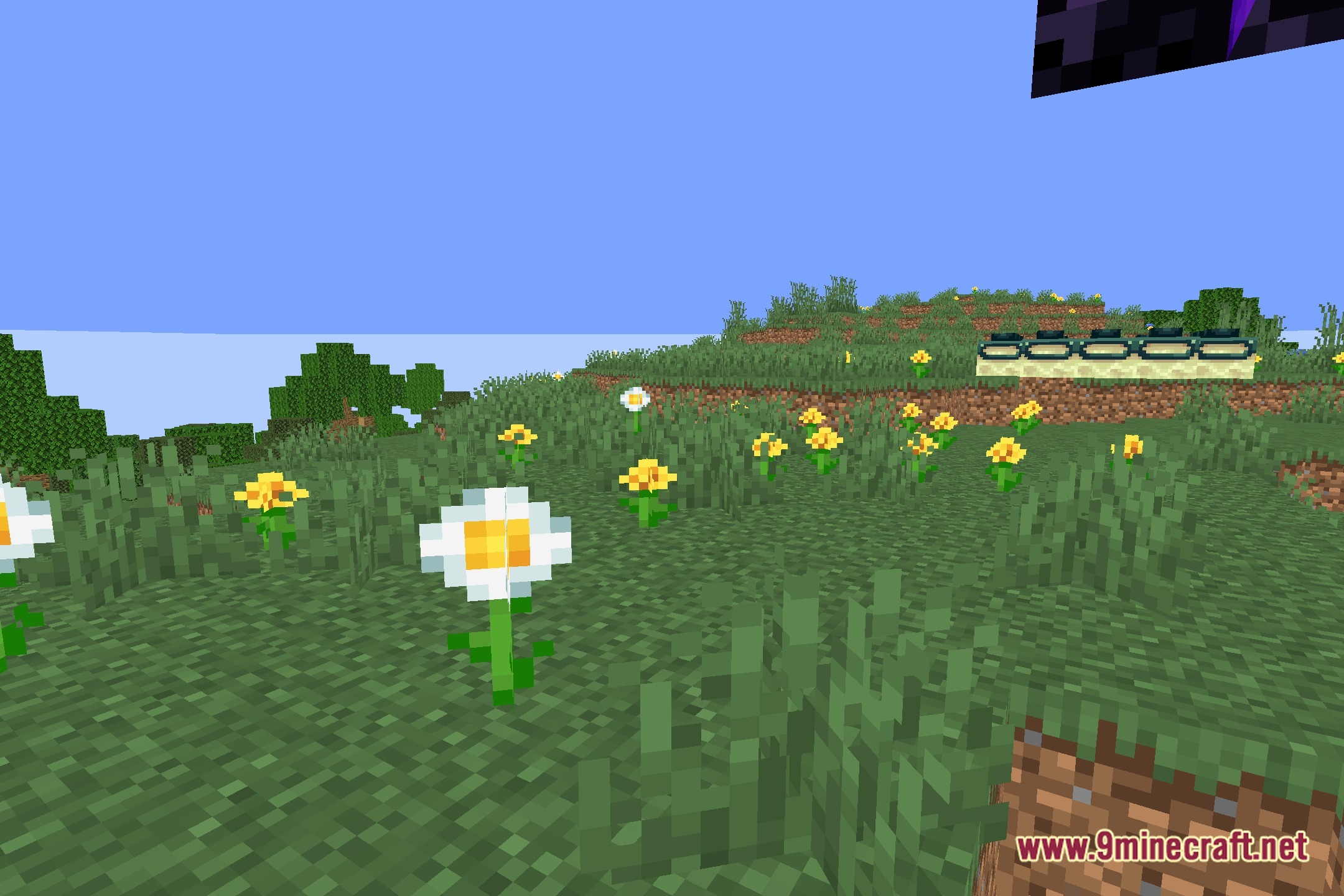 Numpy's Tornado Shaders Screenshot 4