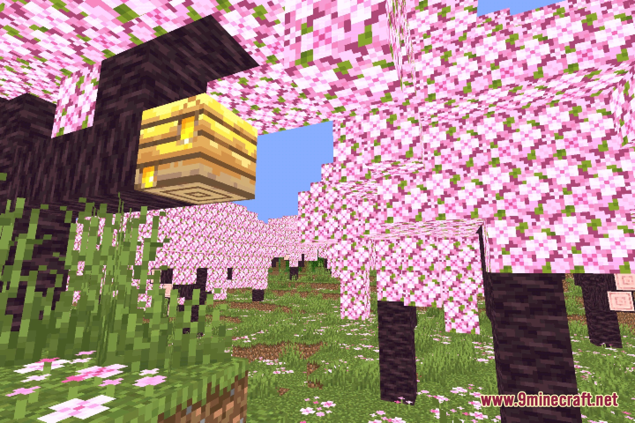 Nyolxel Shaders Screenshot 1