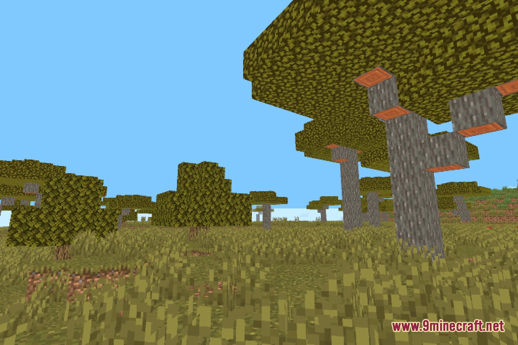 Nyolxel Shaders Screenshot 12