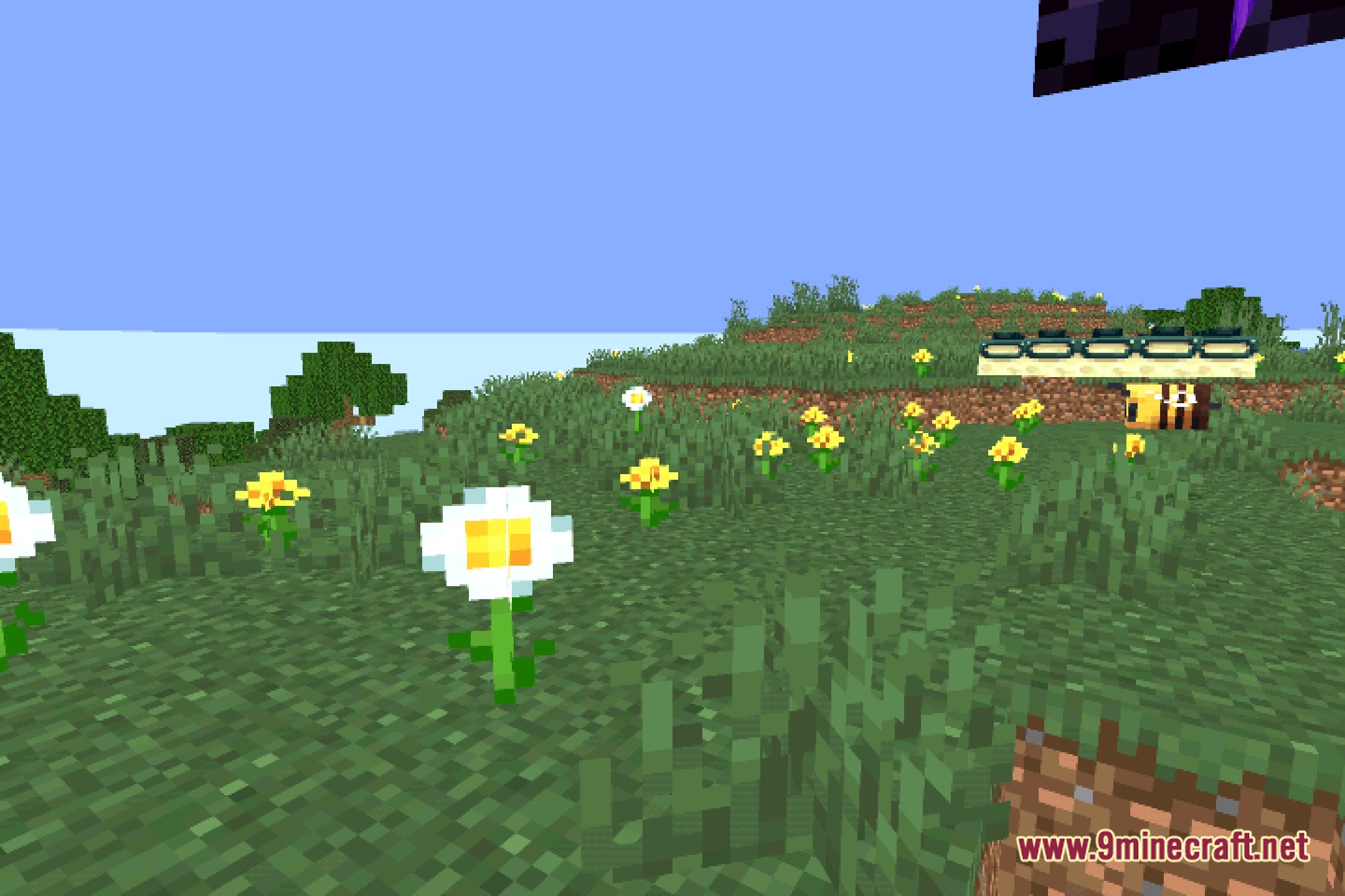 Nyolxel Shaders Screenshot 5