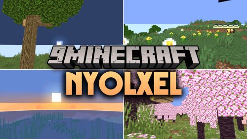 Nyolxel Shaders
