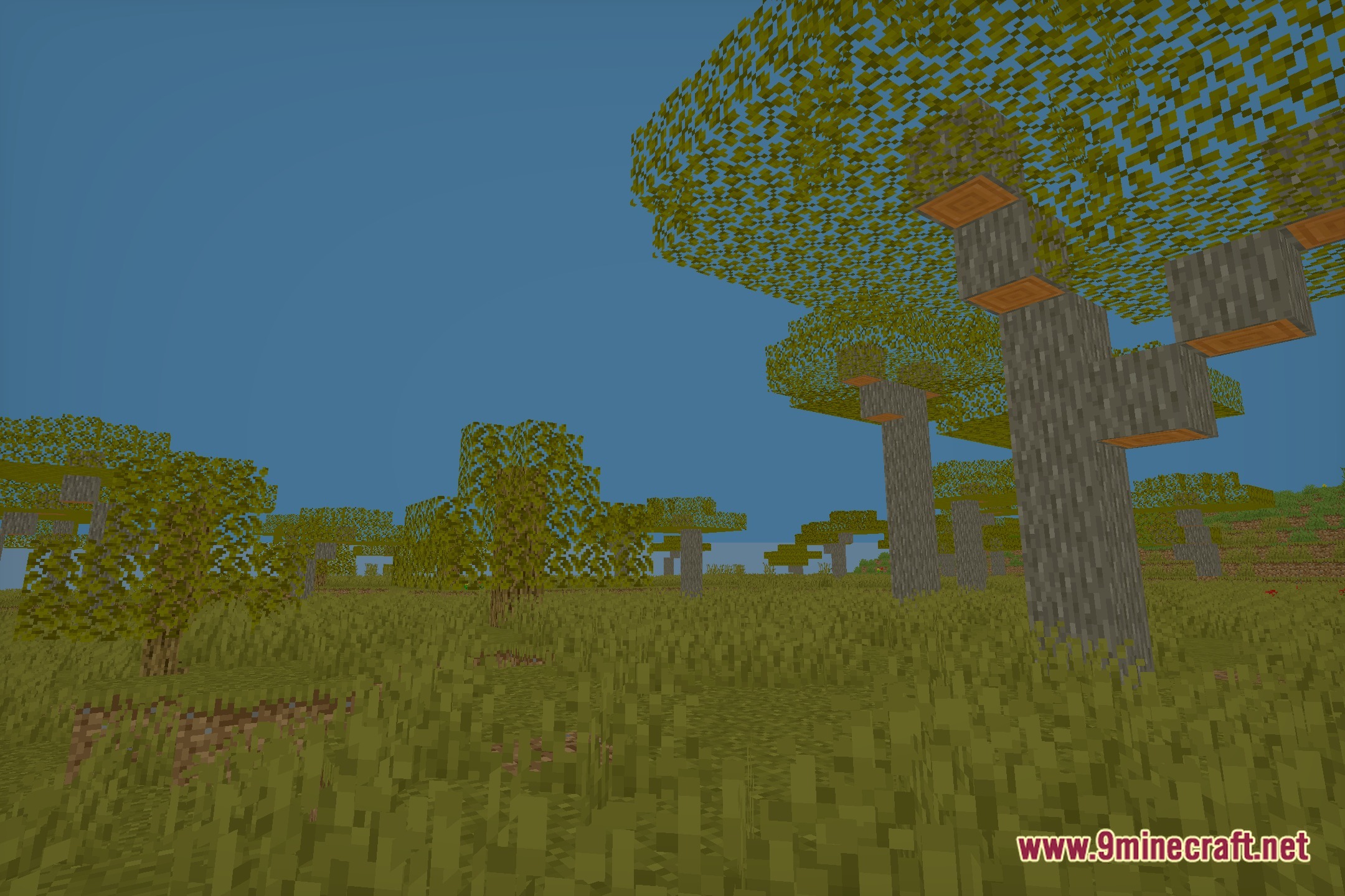 NyxaVora Shaders Screenshot 11