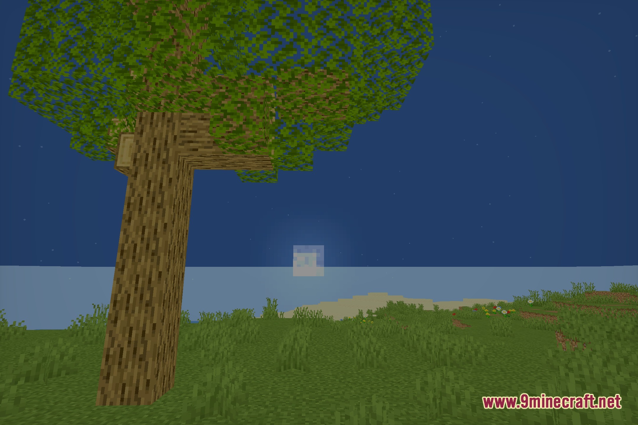 NyxaVora Shaders Screenshot 3