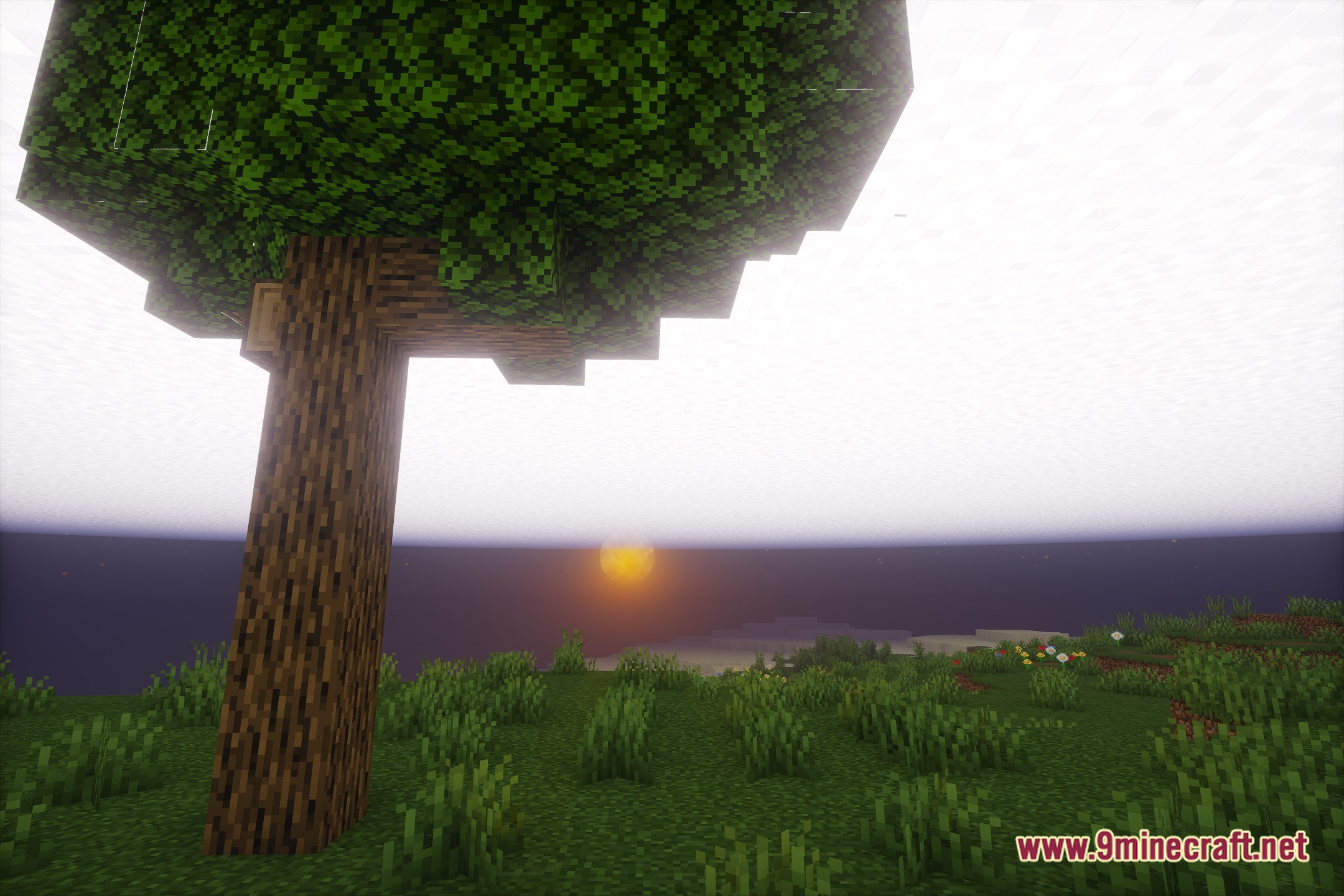 OffShades Shaders Screenshot 4