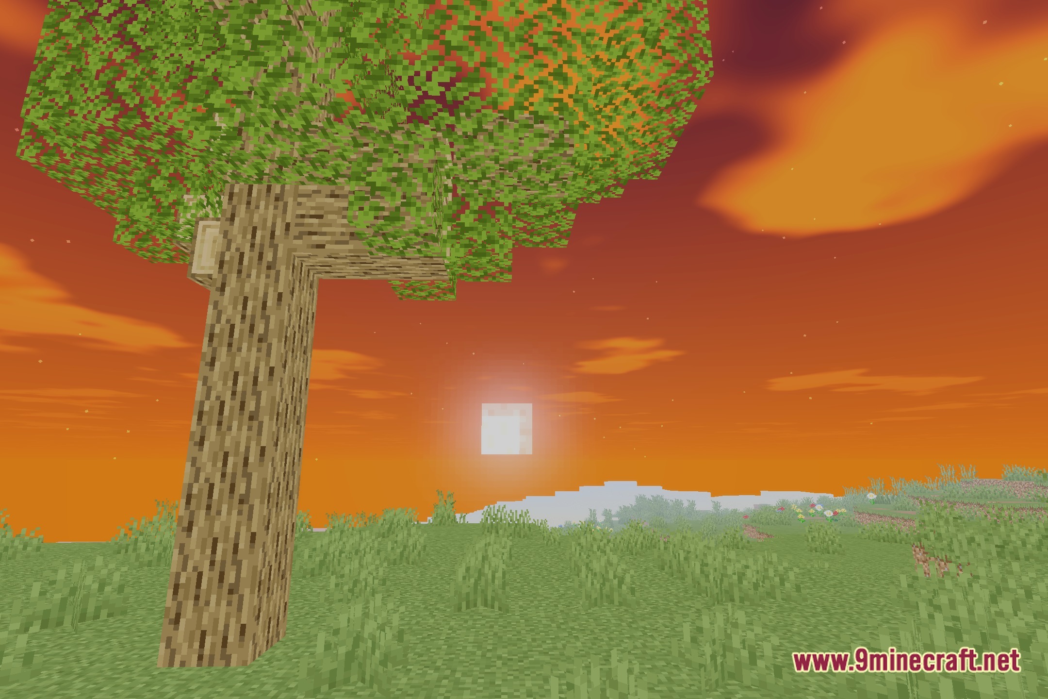 Old Doggo Shaders Screenshot 4