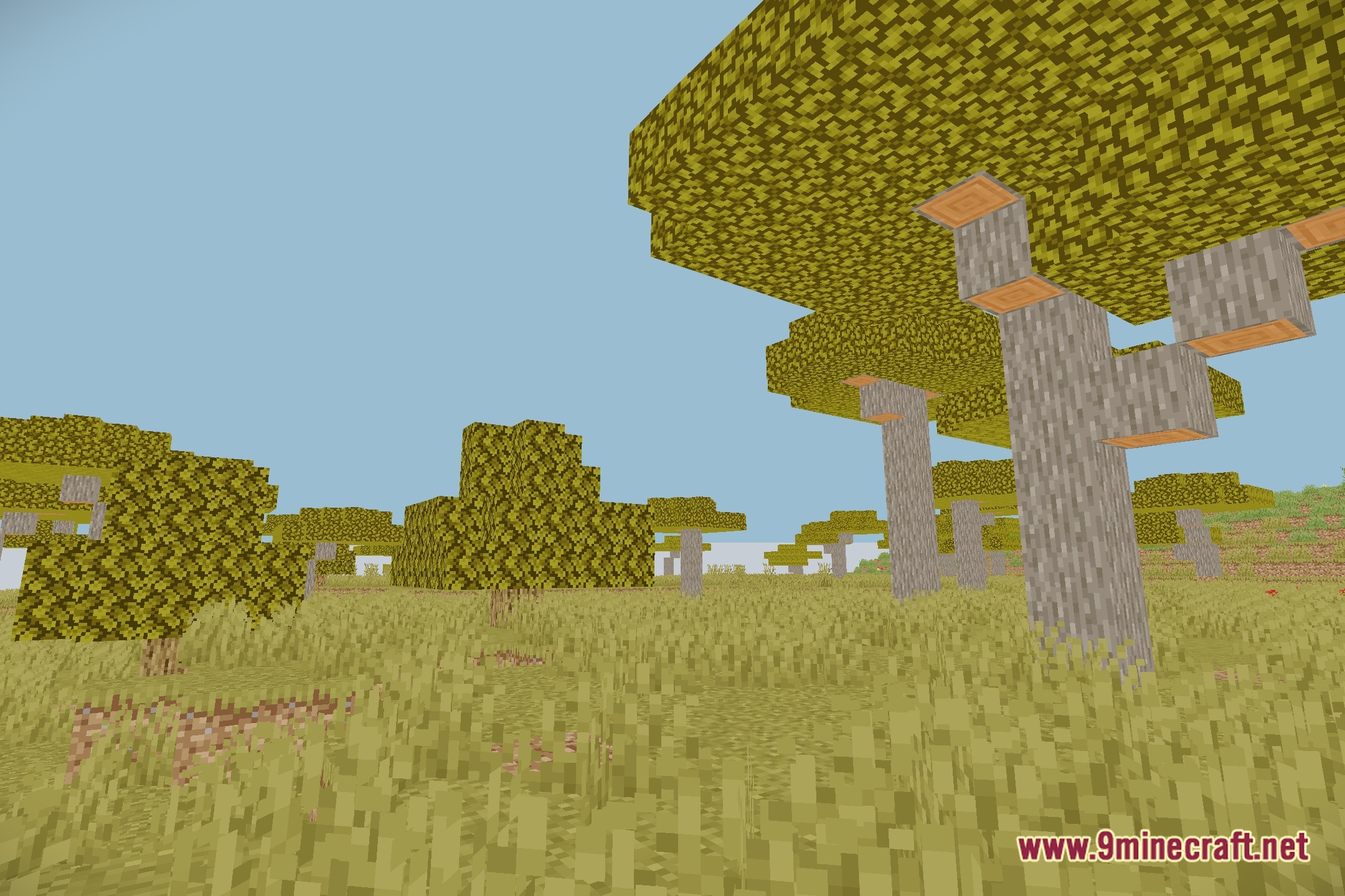 Orbit Shaders Screenshot 12