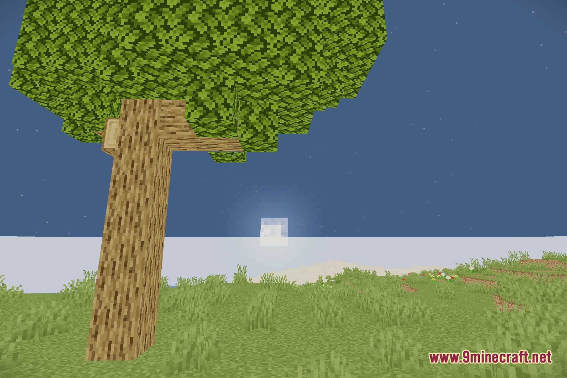 Orbit Shaders Screenshot 4