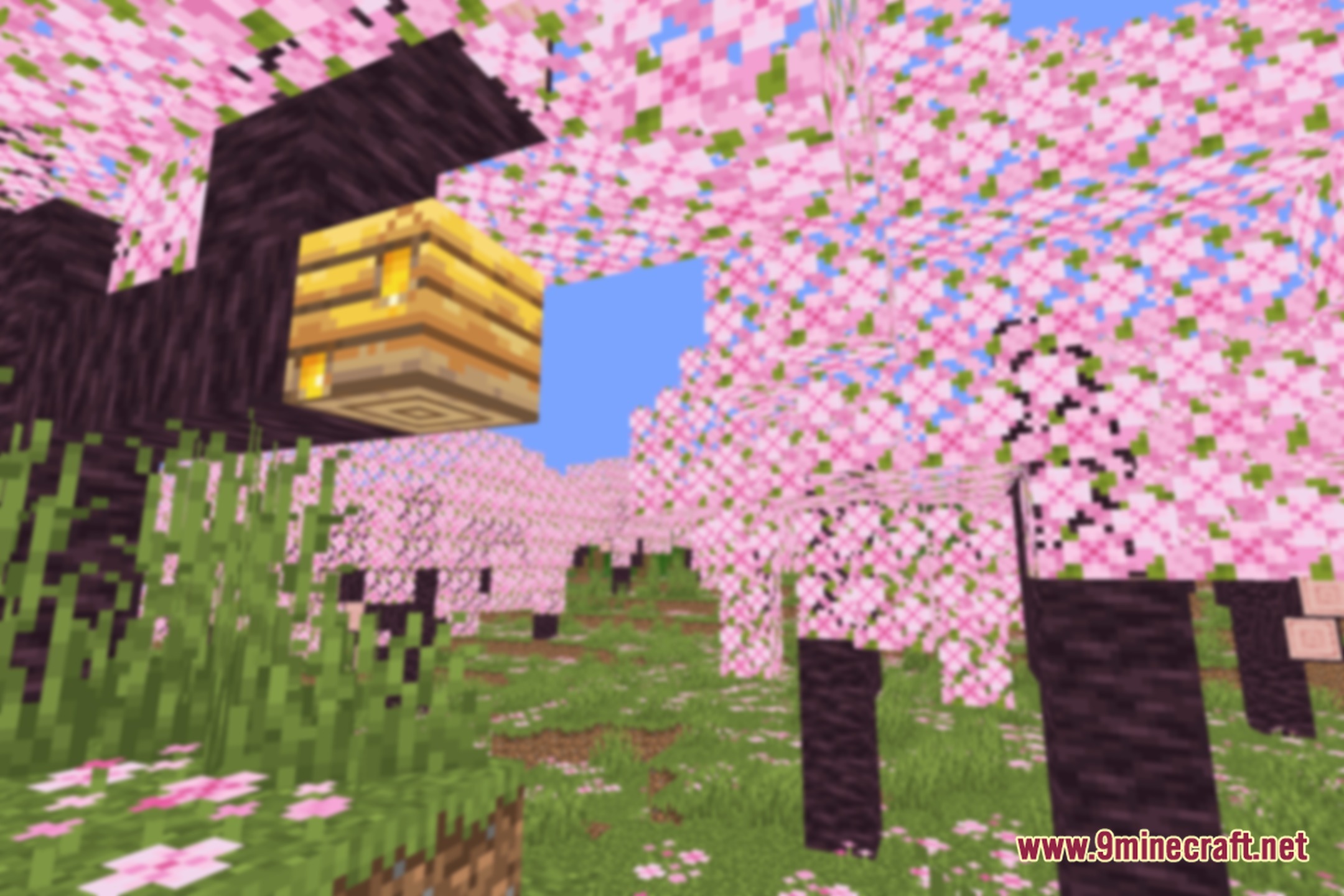 Out of Focus Shaders Screenshot 1