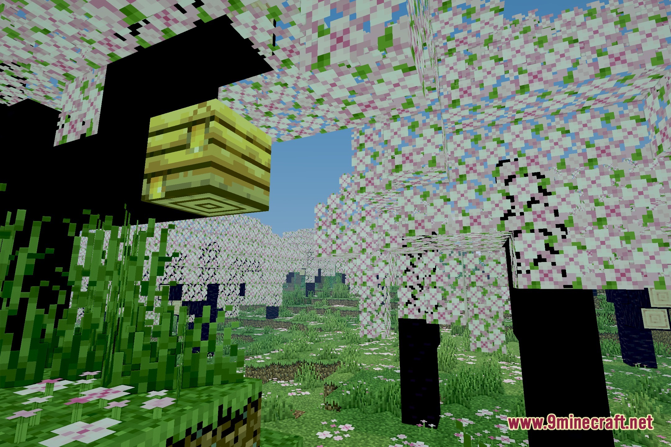 PKFL Visuals Shaders Screenshot 1