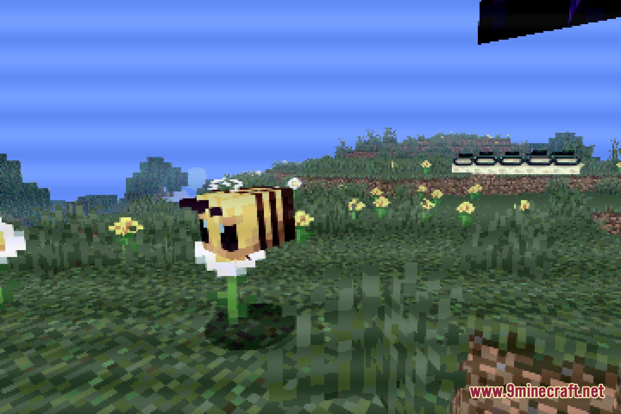 PS2 Shaders Screenshot 5