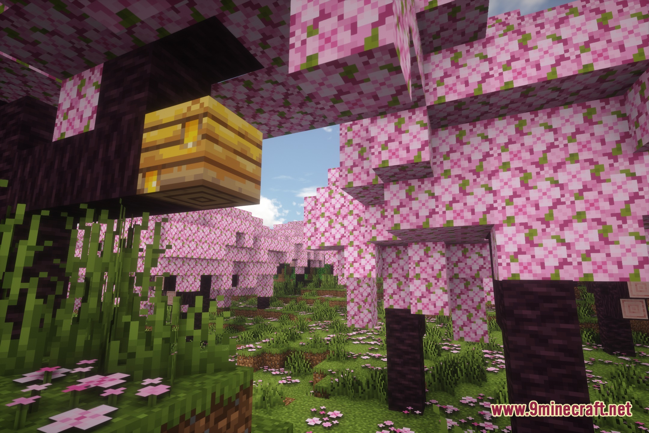 Pale Shaders Screenshot 1