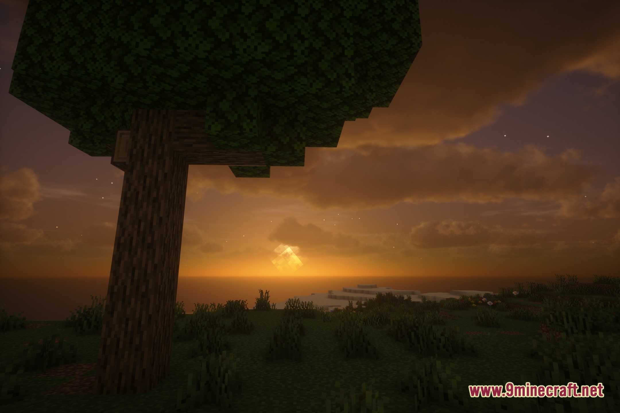 Pale Shaders Screenshot 4