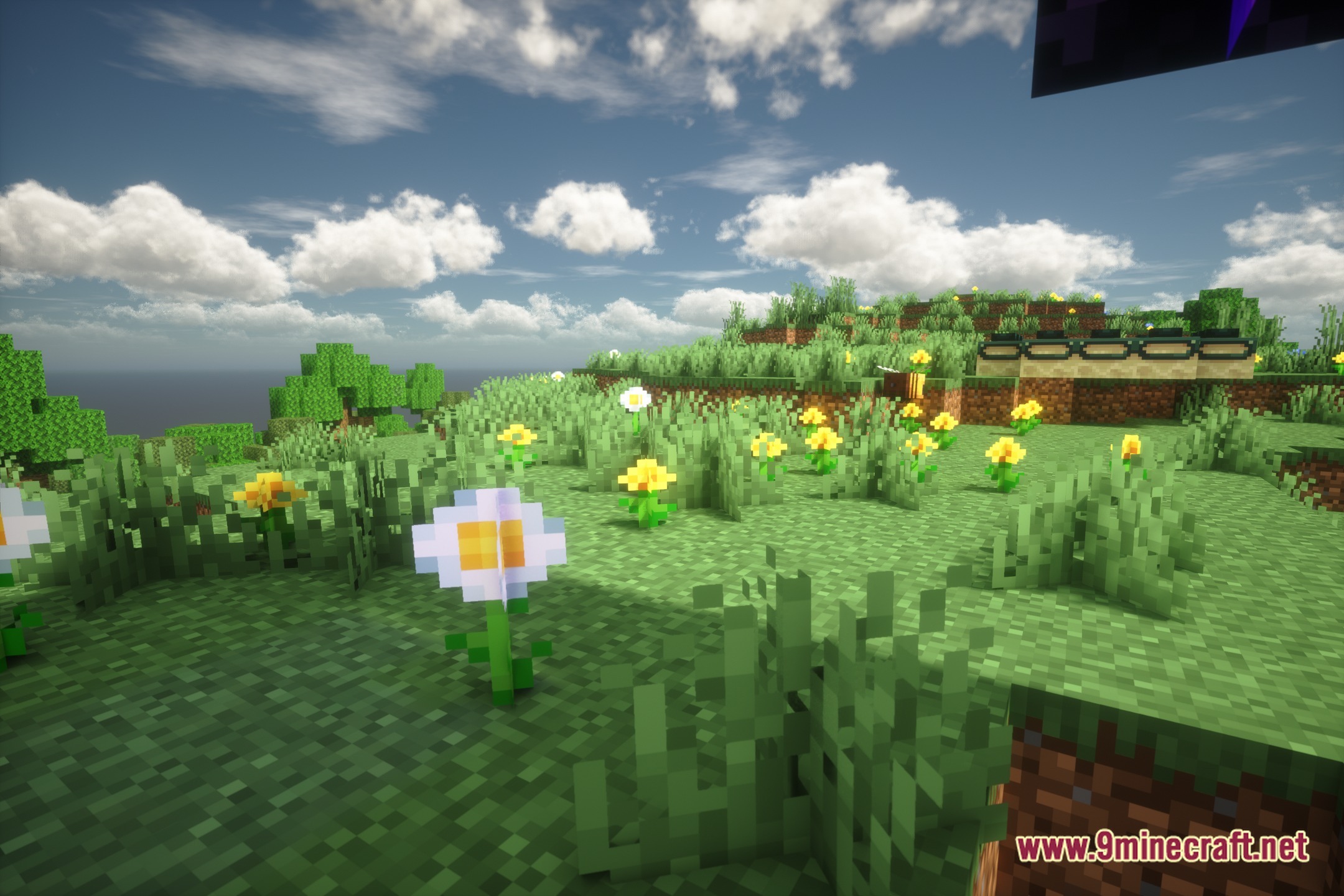 Pale Shaders Screenshot 5