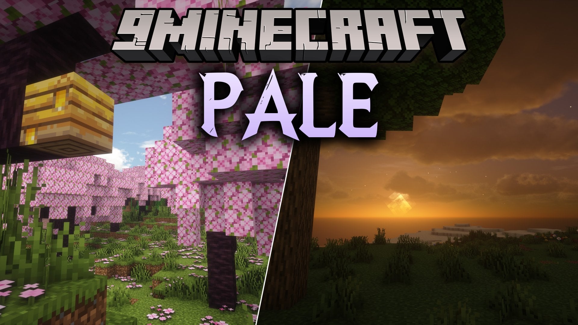 Pale Shaders