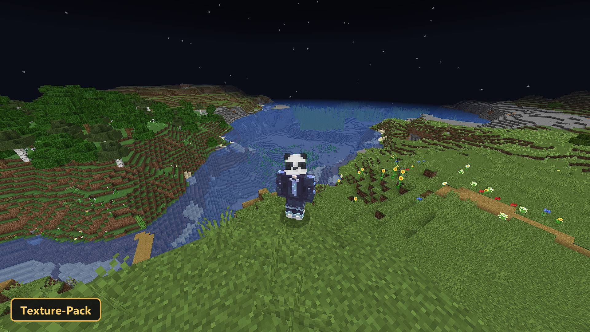 player character standing on a hill overlooking a lake at night