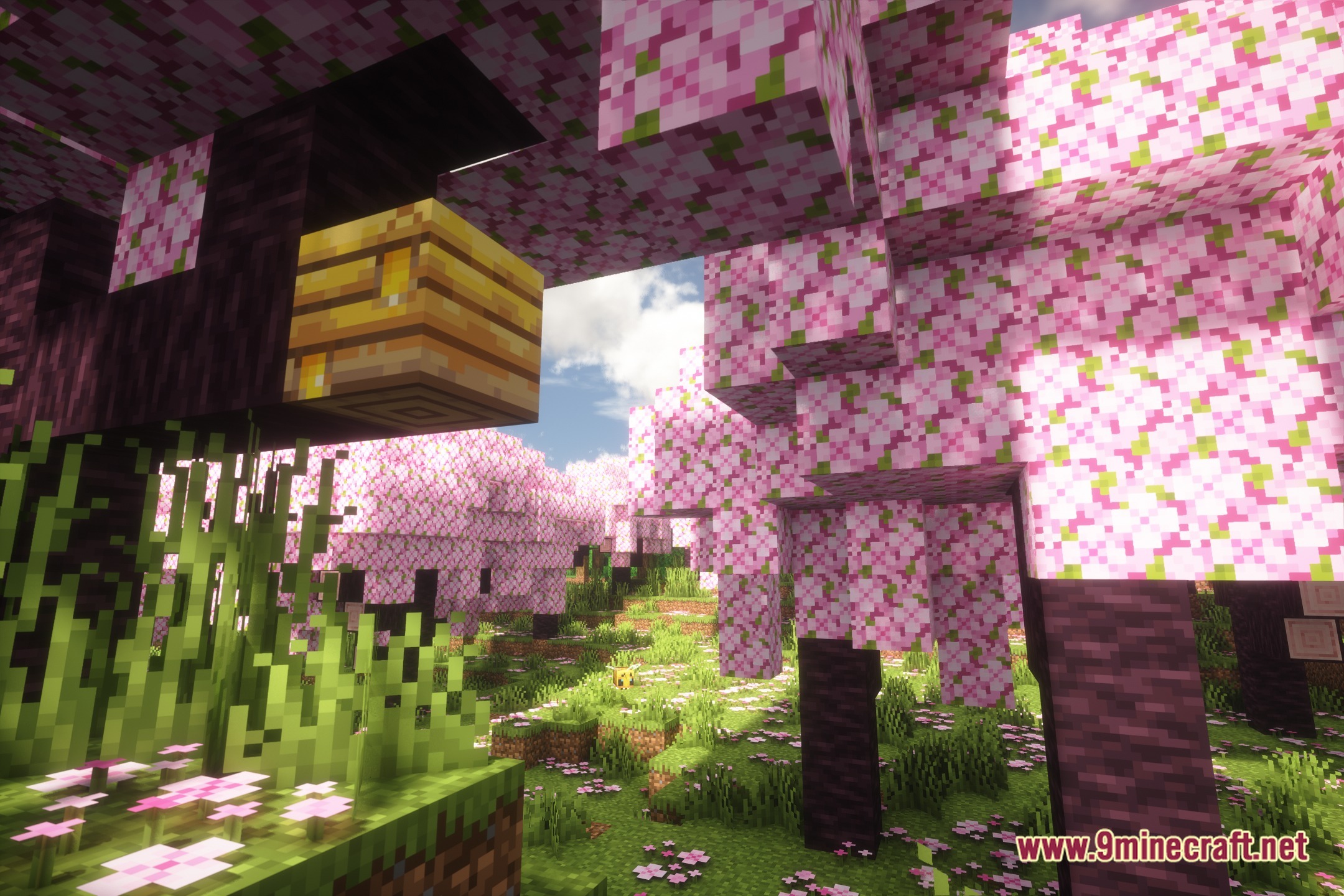Pholas Shaders Screenshot 1