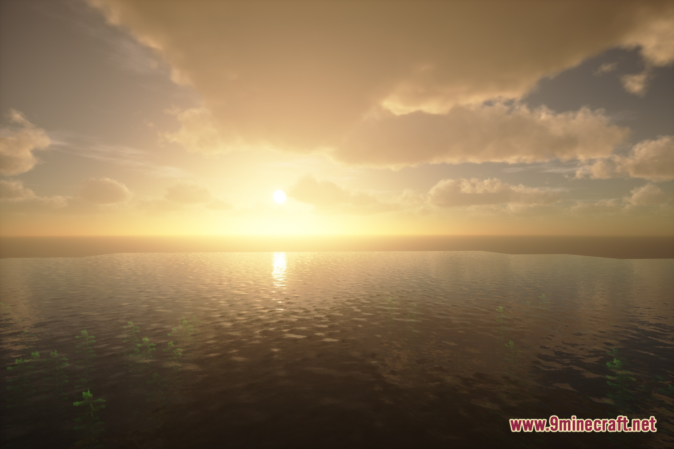 Pholas Shaders Screenshot 2