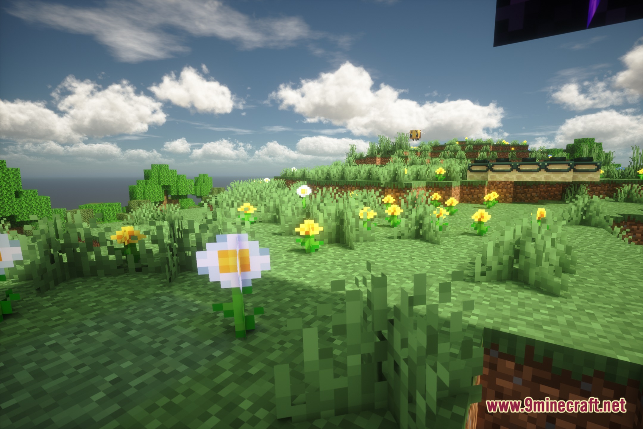 Pholas Shaders Screenshot 5