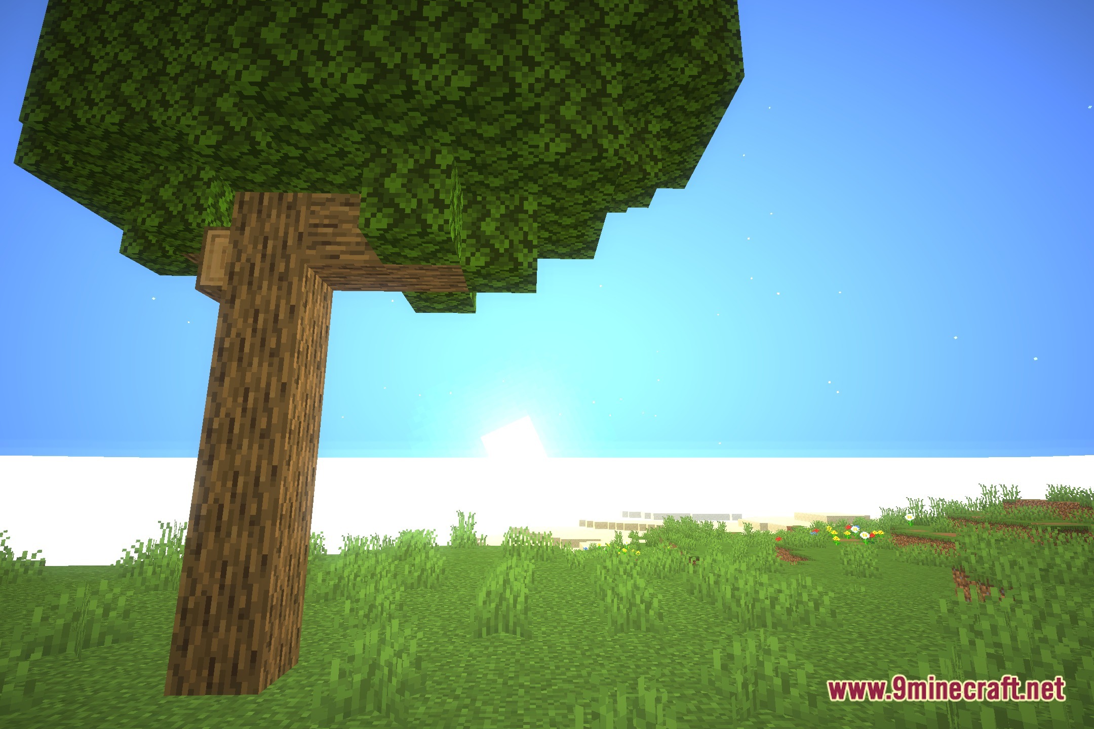 PhotonShader Screenshot 4