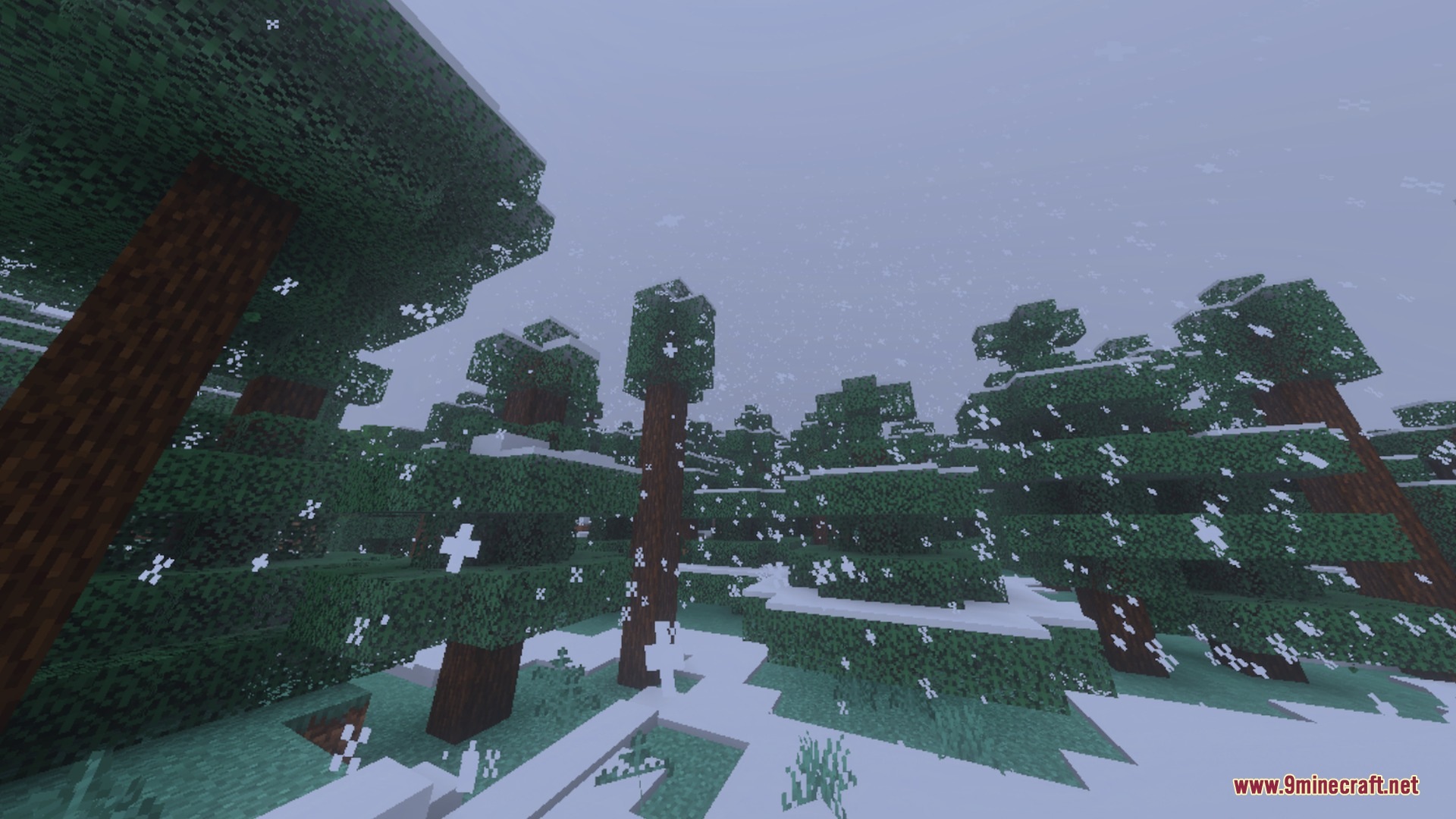 Pixie - Vibrant Visual PBR Shader Screenshot 10 Snow falls over a dense spruce forest with white layers on ground