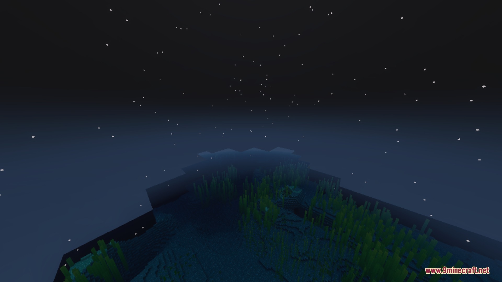 Pixie - Vibrant Visual PBR Shader Screenshot 2 Underwater seagrass in a dark ocean under a starry night sky in Minecraft