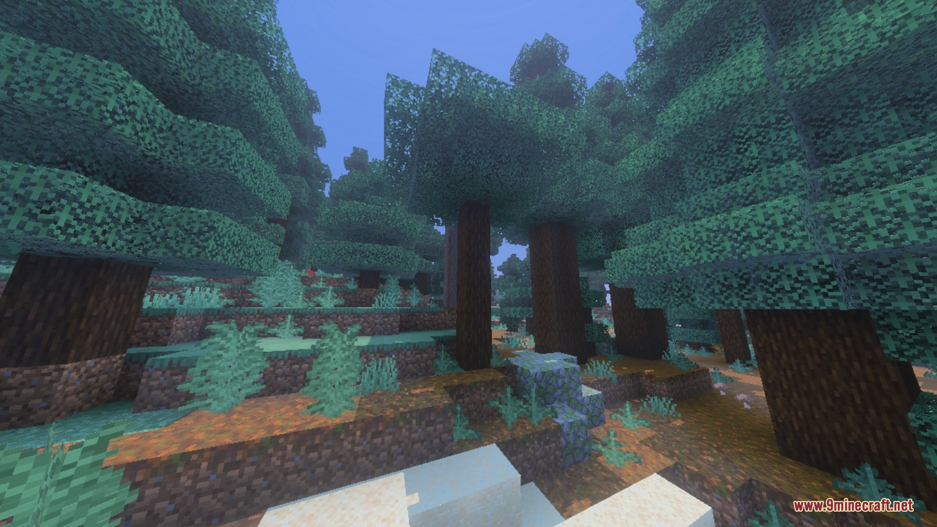 Pixie - Vibrant Visual PBR Shader Screenshot 7 A dense spruce forest with tall trees and lush ferns on the ground