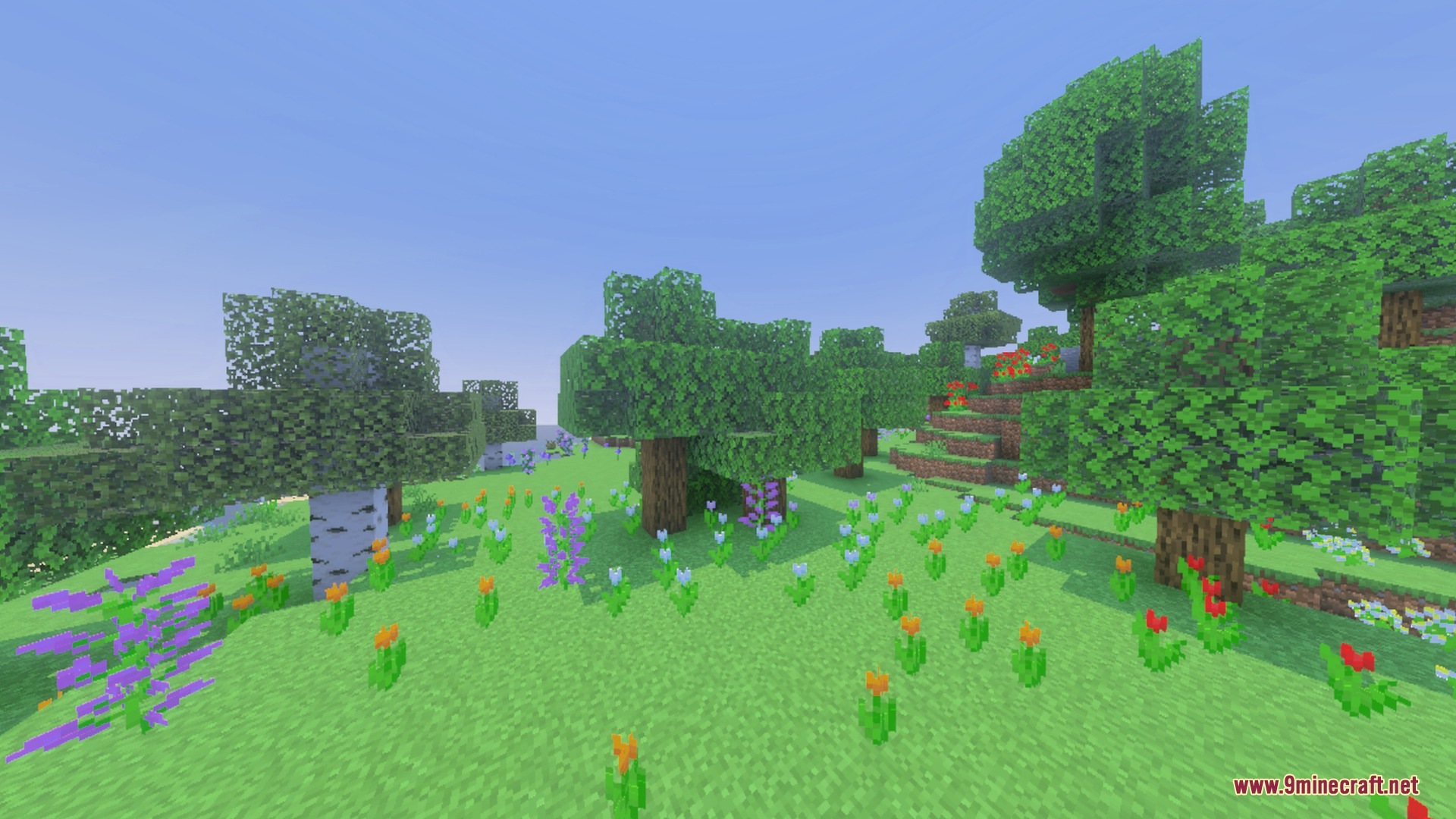Pixie - Vibrant Visual PBR Shader Screenshot 9 Vibrant flowers bloom in a sunny meadow under a clear blue sky