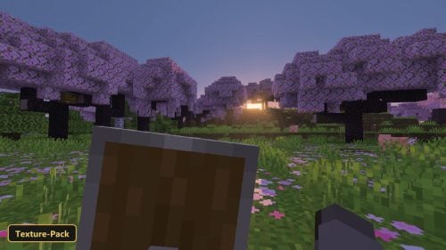 cherry blossom grove at sunset, shield in foreground