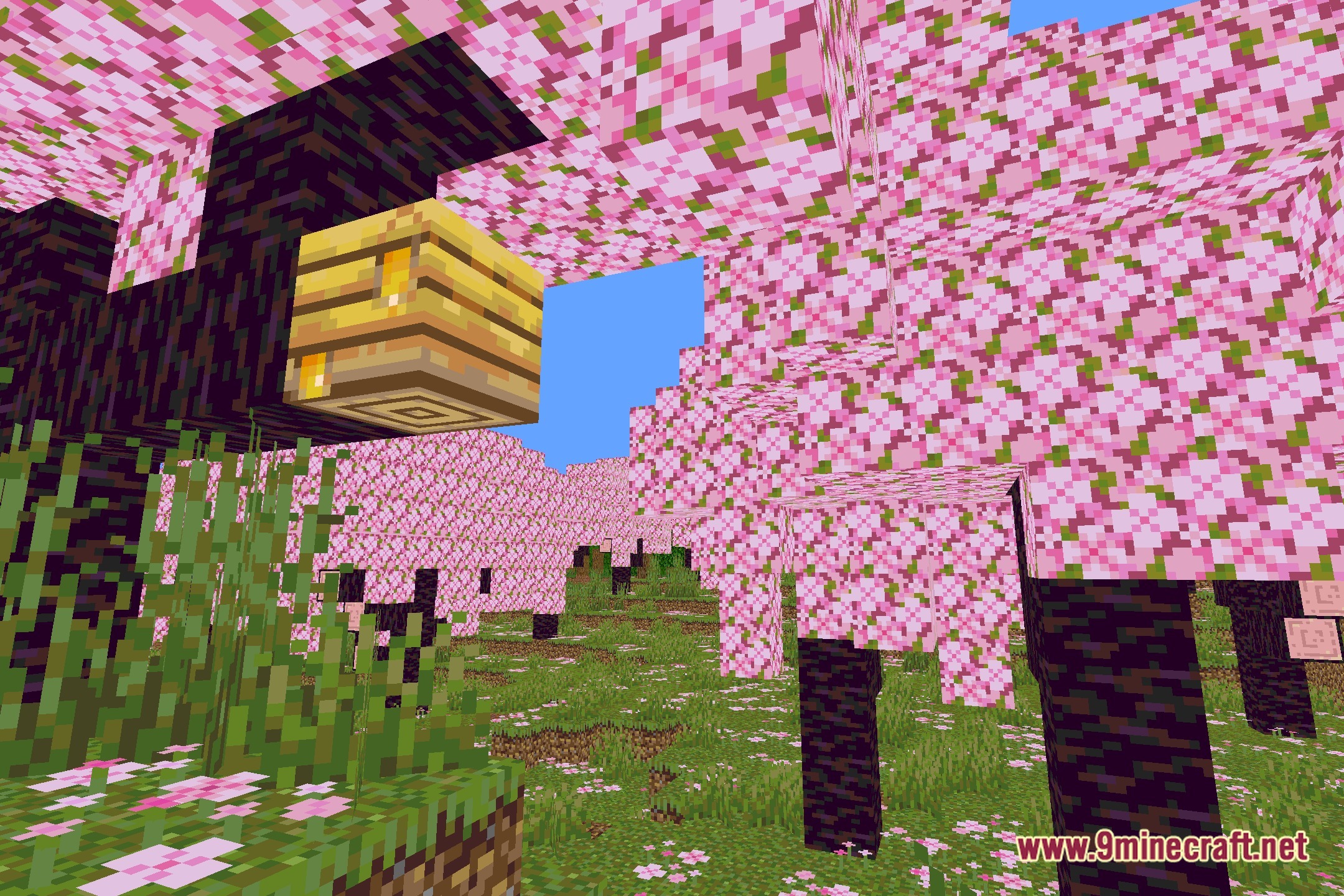 PosterizationShader Screenshot 1