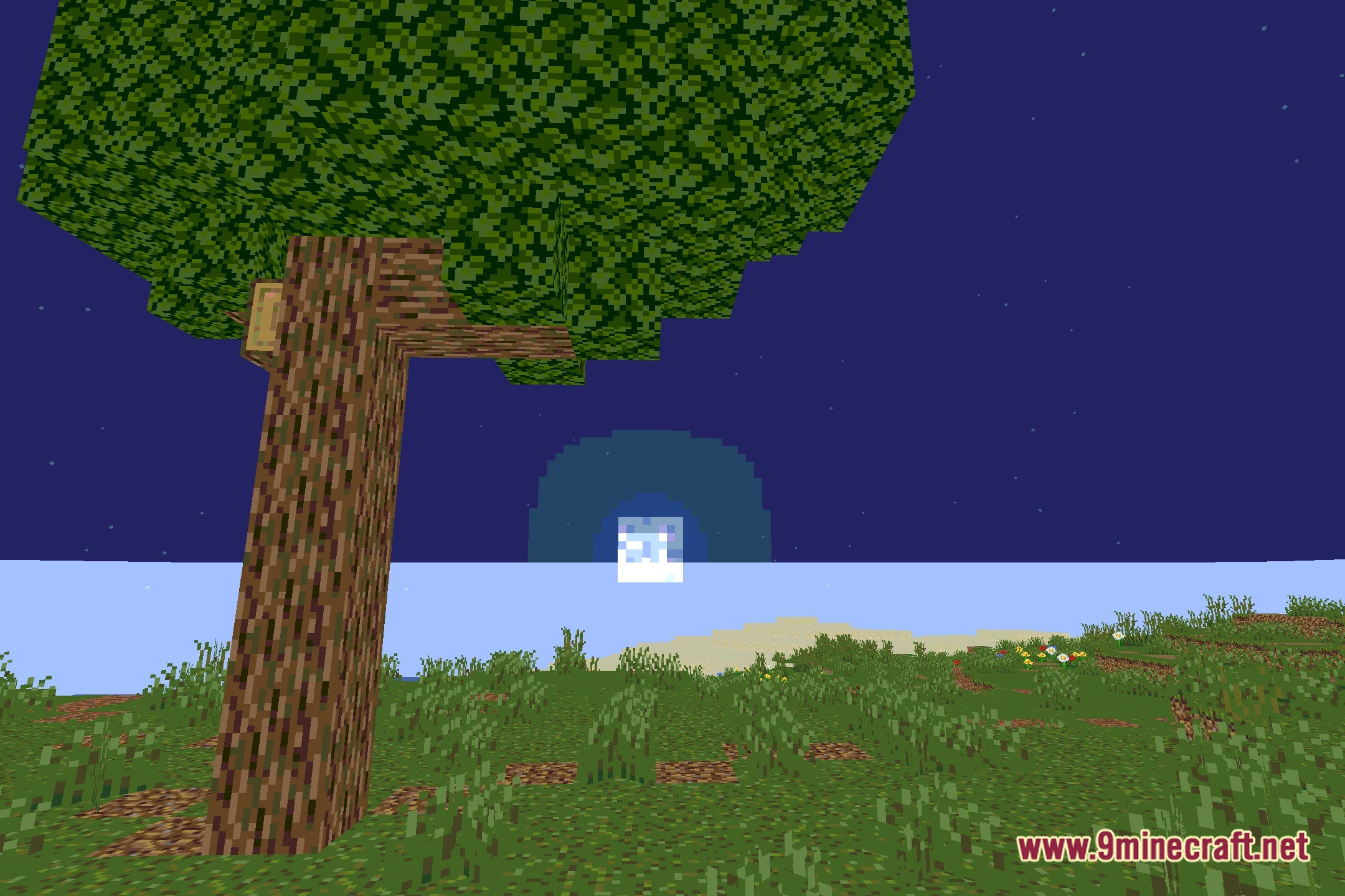 PosterizationShader Screenshot 4