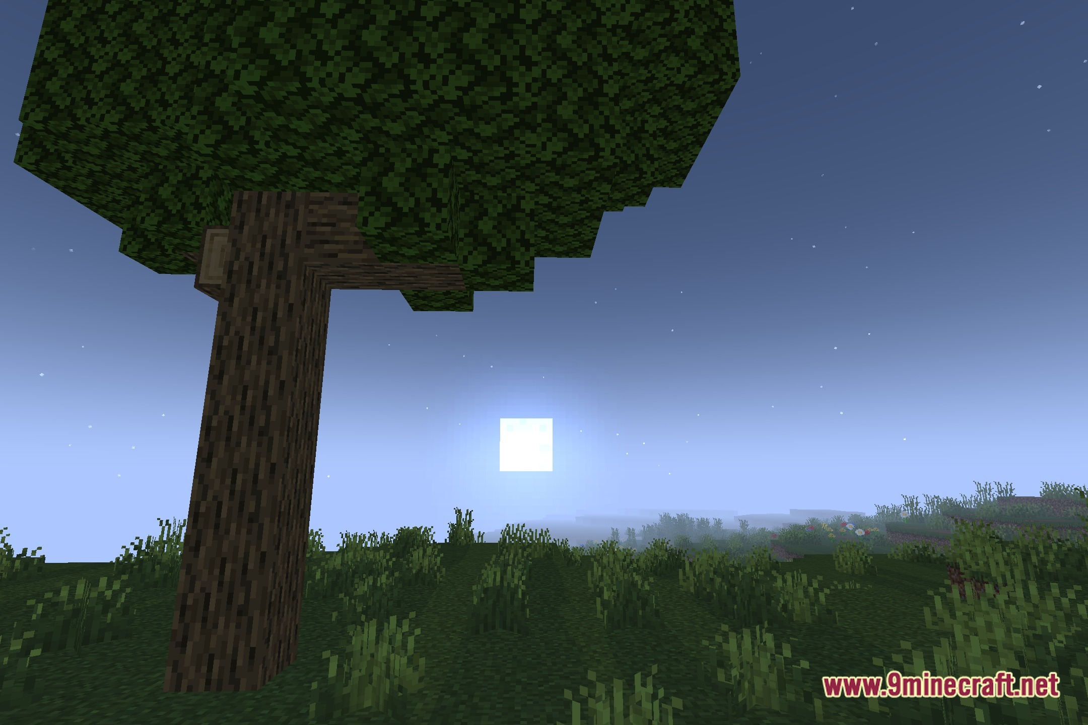 Pretty Shadows Shaders Screenshot 4