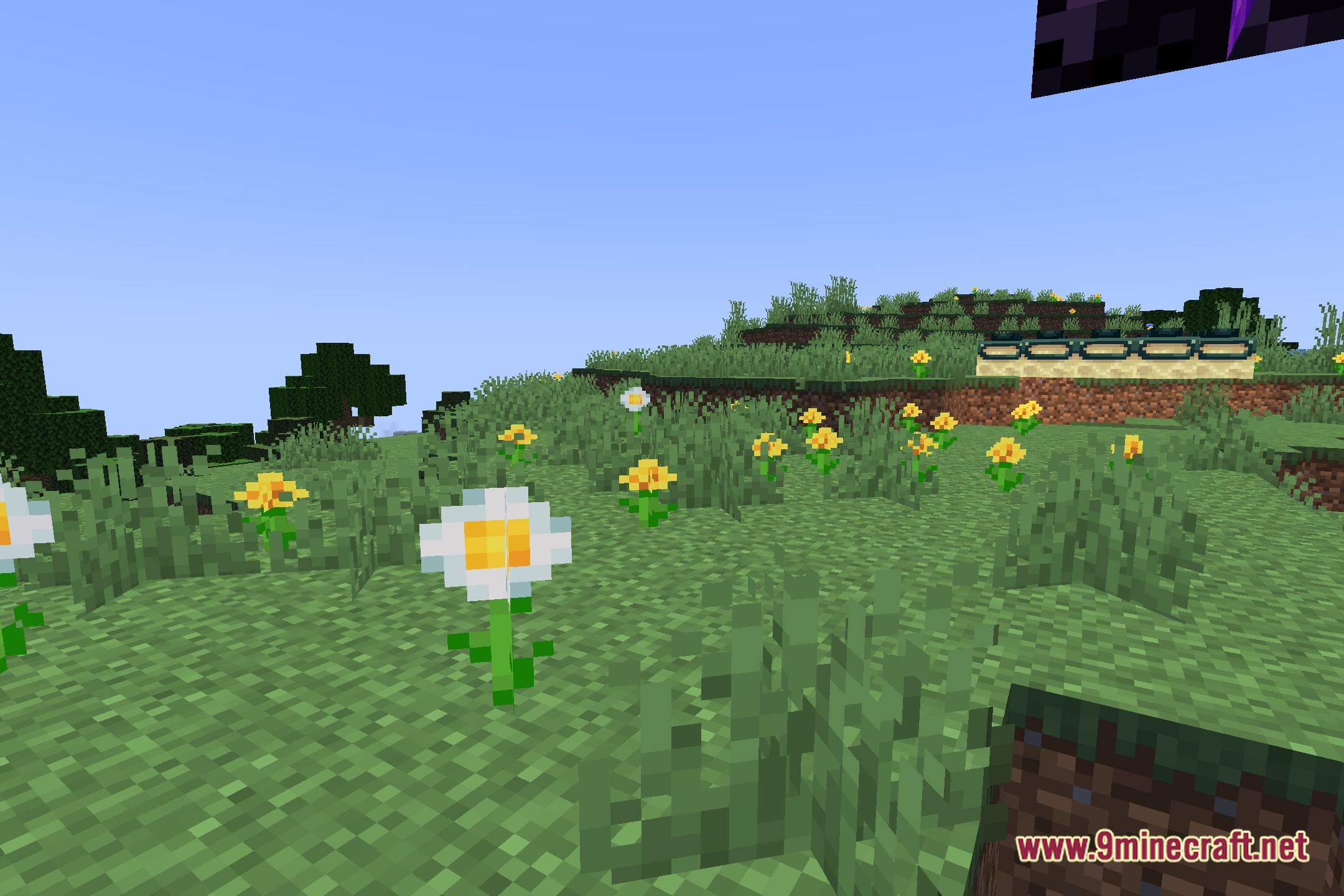 Pretty Shadows Shaders Screenshot 5