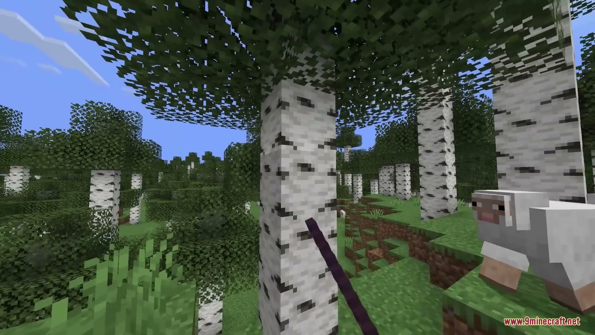 Primal Aether Surge Mod Screenshot 1 Player holding a purple physics tool near a sheep in a birch forest