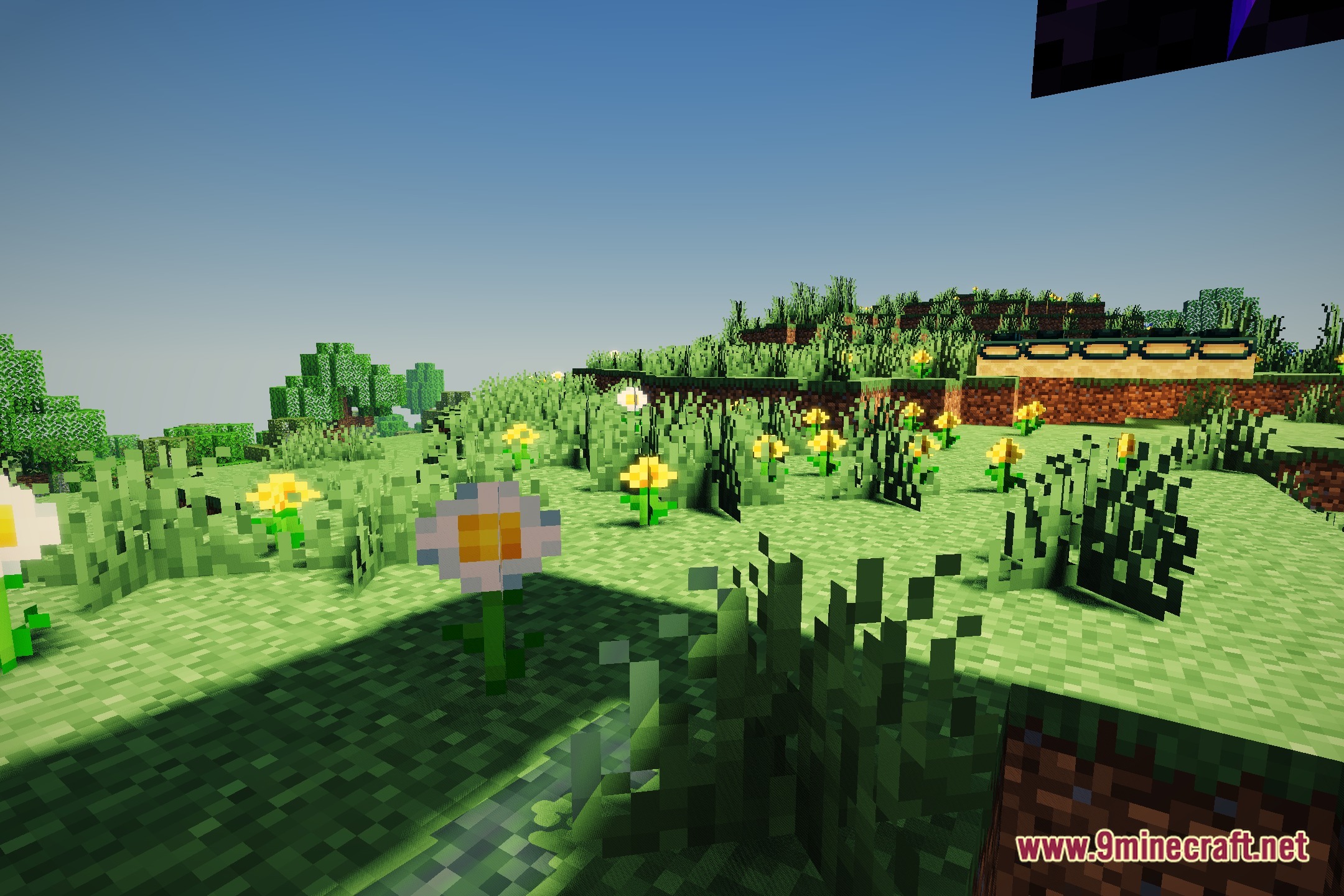PrimeCinematic Shaders Screenshot 4