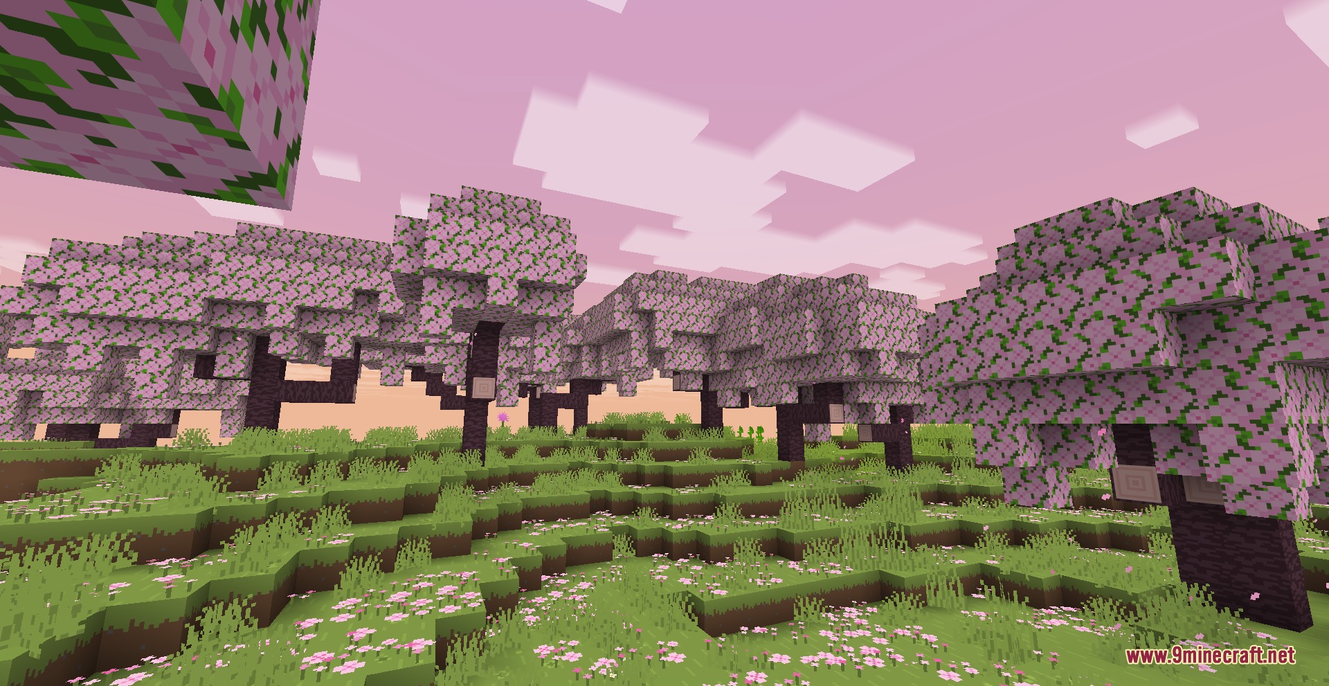 Prismatic Atmosphere Resource Pack Screenshot 1 Cherry blossom trees in a field under a soft pink atmospheric sky