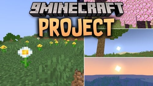 Project Shaders