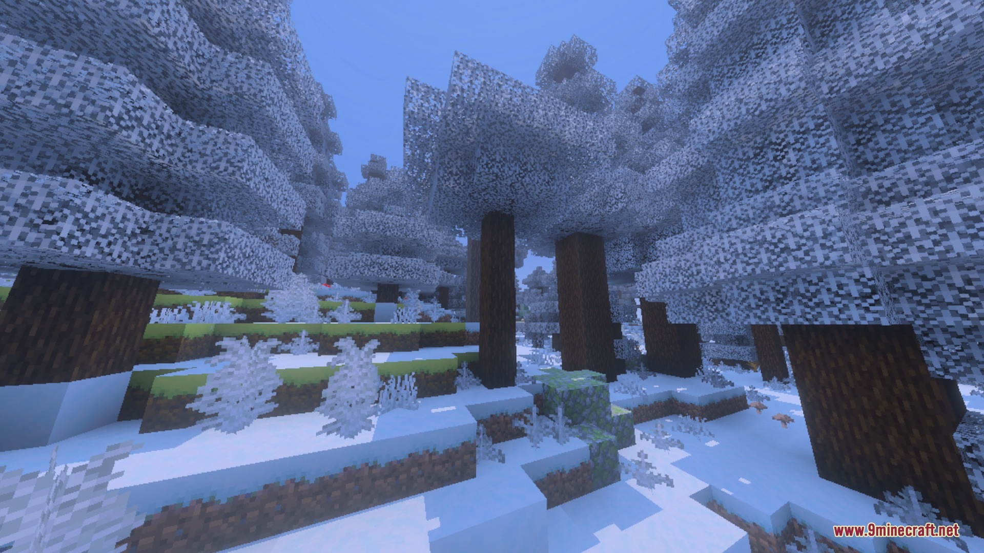 Project Silent Breakpoint Weather Cycle Shader Screenshot 3 Large spruce trees covered in snow within a frozen winter biome landscape