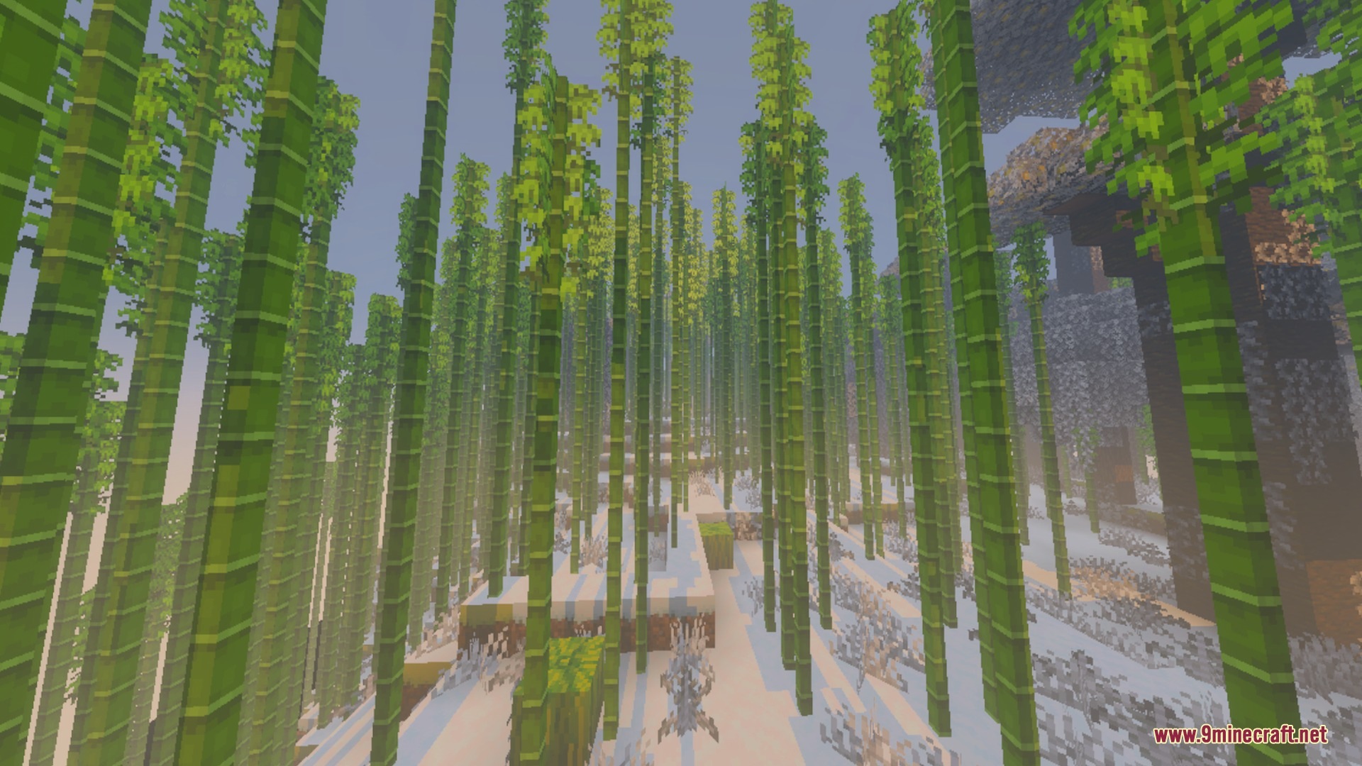 Project Silent Breakpoint Weather Cycle Shader Screenshot 4 Tall green bamboo stalks growing in a snowy environment with soft atmospheric lighting