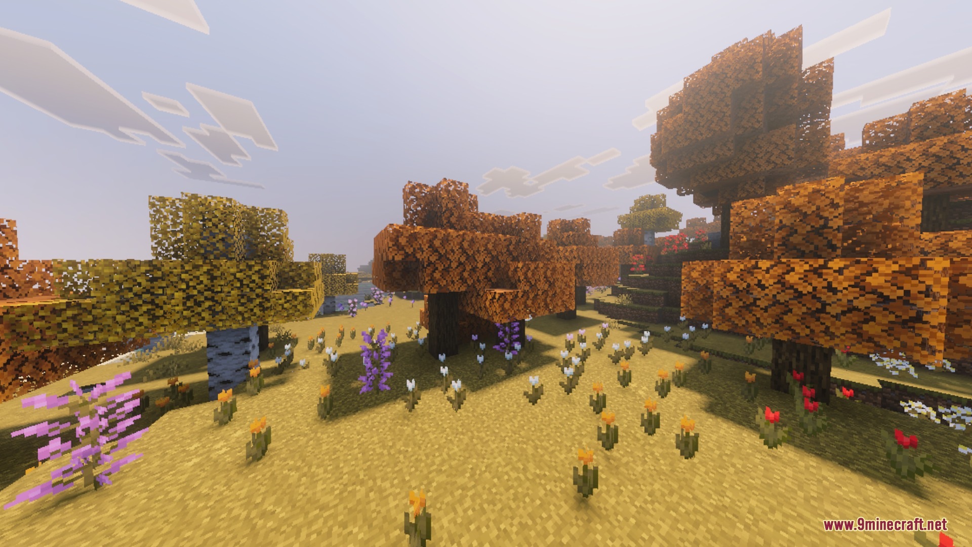 Pumpkin Spice Visuals Shader Screenshot 10