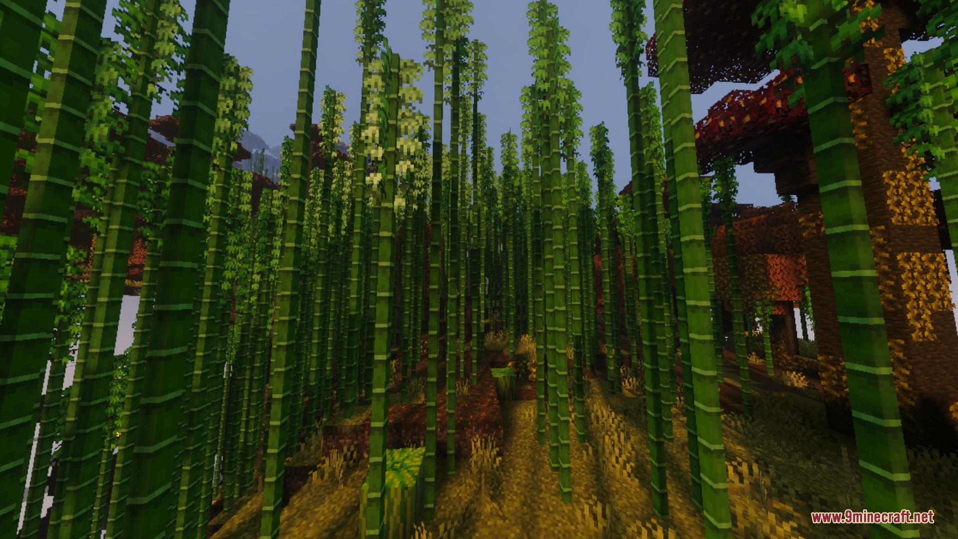 Pumpkin Spice Visuals Shader Screenshot 9