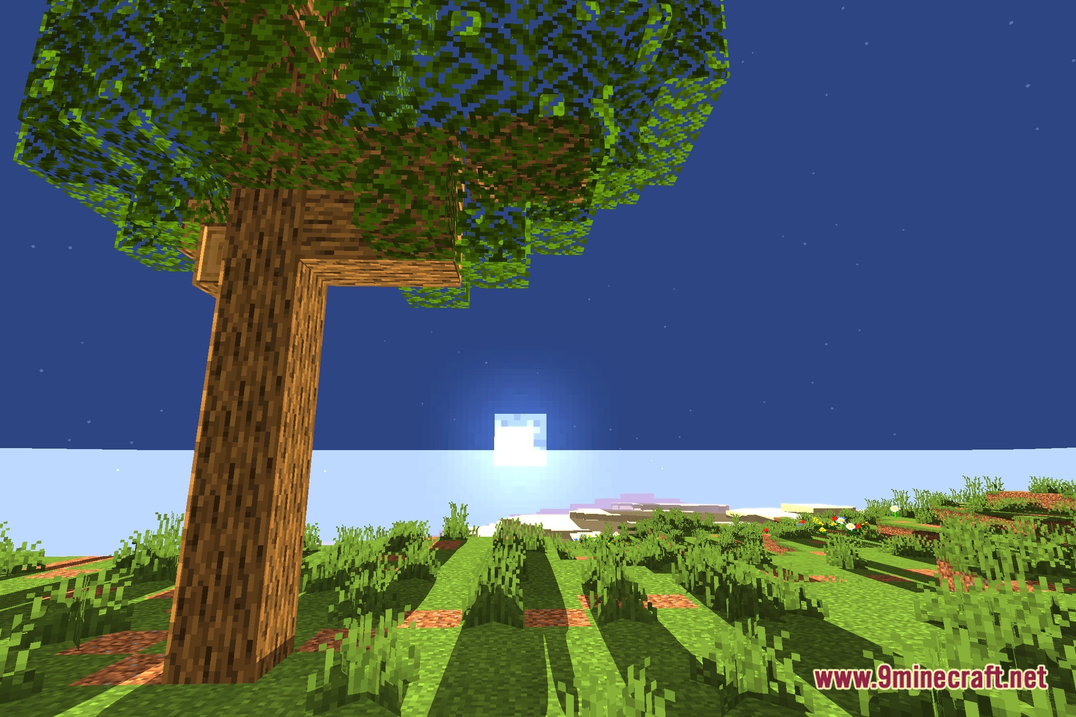 R T S Shaders Screenshot 4