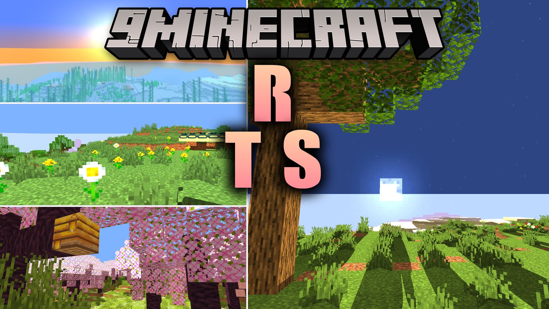 R T S Shaders