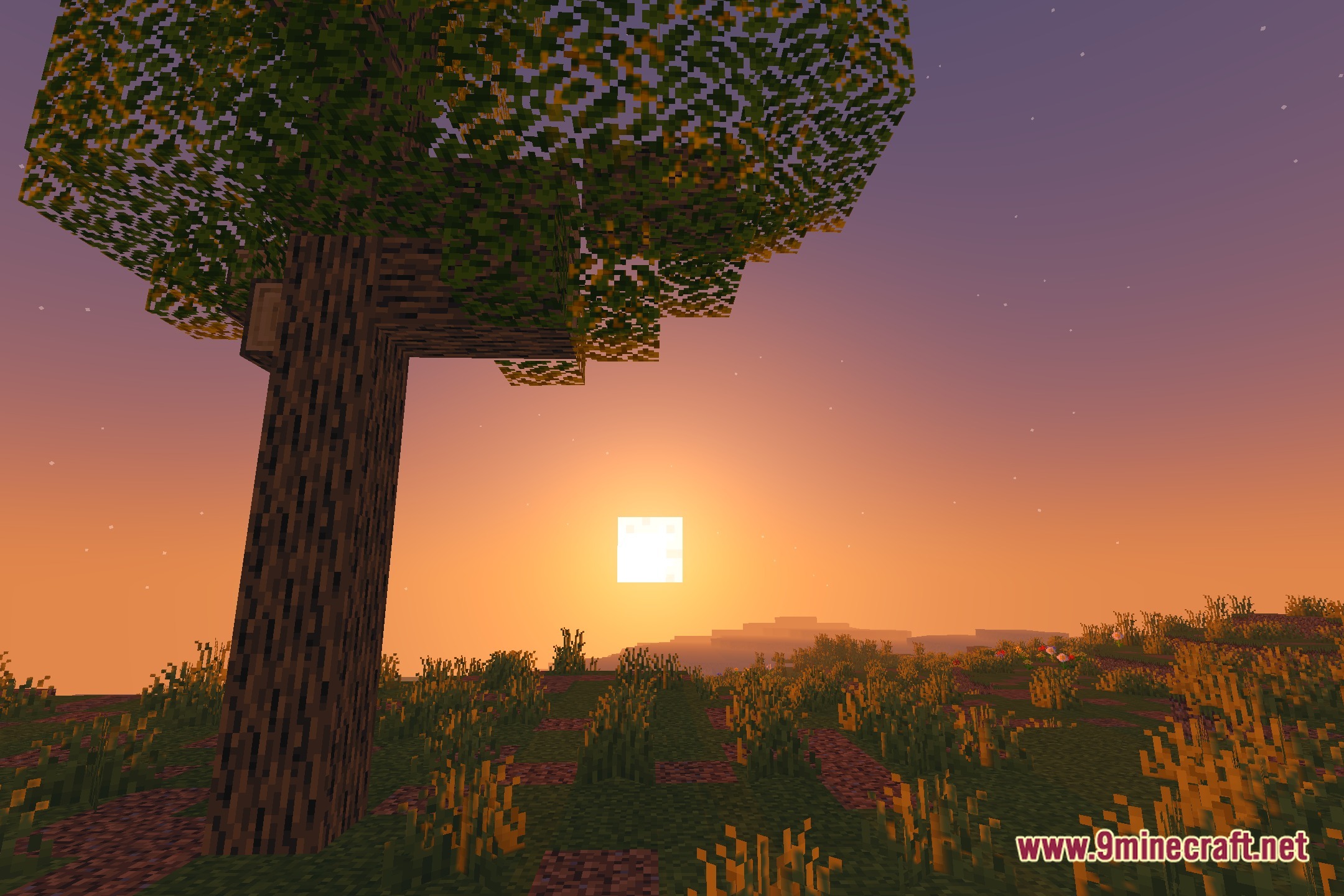 Radiant Cinematic Glow Shaders Screenshot 4